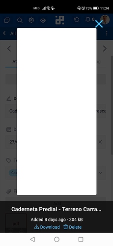 infinity-pdf-dont-show-on-mobile